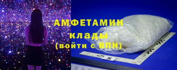 гидра Алексин