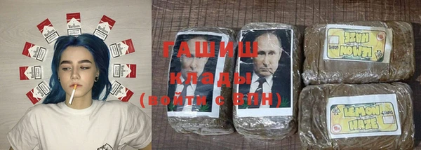 гидра Алексин