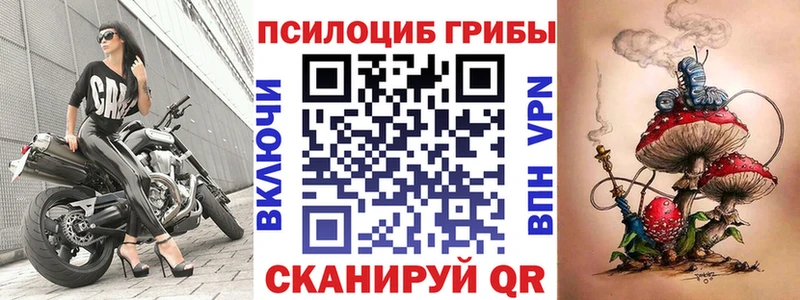 OMG ссылка  Черкесск  Псилоцибиновые грибы Psilocybe  наркота 